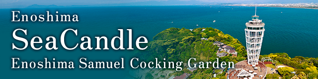 Enoshima SeaCandle Enoshima Samuel Cooking Garden