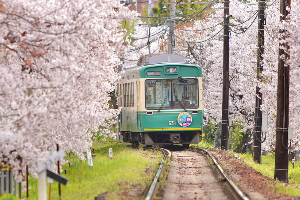 特別塗装車両（嵐電）の画像１